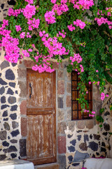 Fototapeta na wymiar Detail of vintage wooden door and colorful flowers