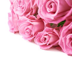 Bouquet of pink roses isolated