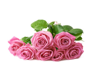 Bouquet of pink roses isolated