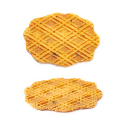 Flat cheese cookie isolated