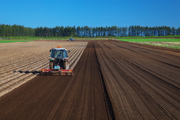 十勝平野の田畑