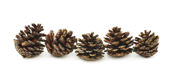 Decorational pine cones isolated