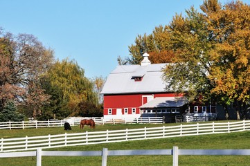 Fall Horse Farm © StevertS