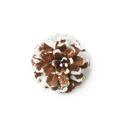 Single decorational pine cone isolated