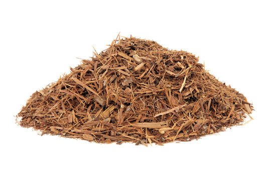 Catuaba Bark Herb
