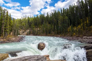 Badezimmer Foto Rückwand Wasser eines Flusses und ein Wasserfall inmitten eines Kiefernwaldes in den Rocky Mountains von Alberta in Kanada im Sommer © ydumortier