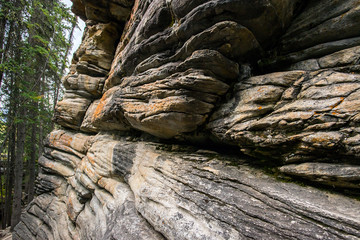 zoom on a cliff with lichen on it in a forest of the rocky mountains of alberta canada