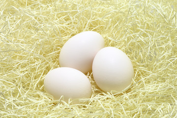 Chicken eggs