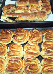 Lot of cooked appetizing cakes, buns and roll with poppy seeds on kitchen tray closeup