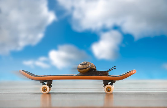 A snail on a skateboard, moving fast with sky in background