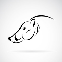 Vector image of an boar head design on white background