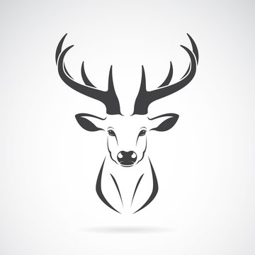 Vector of a deer head design on white background. Animal. 