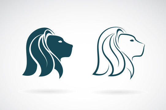 Vector image of an lions head design on white background