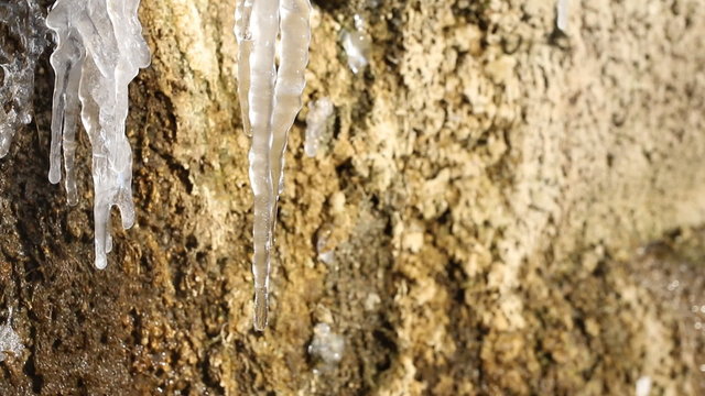 Water dripping off of icicles as temperatures start to warm.