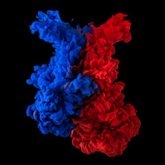 Plumes of red and blue ink in water