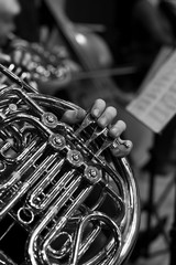 Fototapeta premium French horn in the hands of a musician in the orchestra in black and white