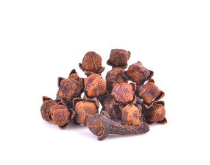 Spice cloves on white background