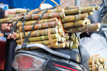 A motocycle carring sugar canes