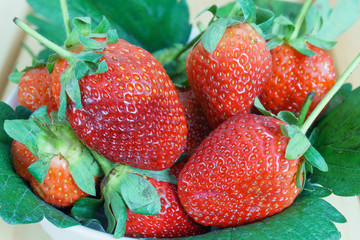 Strawberries
