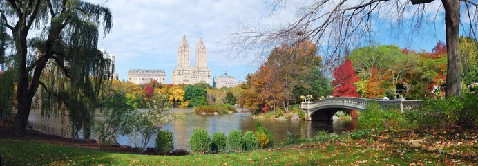 Wall murals Central Park New York City Central Park Autumn panorama