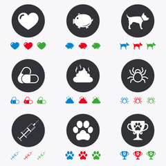 Veterinary, pets icons. Dog paw, syringe signs.