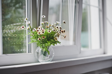 Small white flowers on a light windowsill 5058. - obrazy, fototapety, plakaty