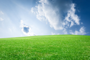 Obraz na płótnie Canvas Field of green grass and blue sky