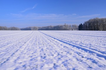 Fototapeta na wymiar winterliche Landschaft