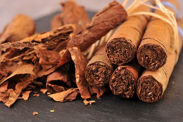 Dry tobacco leaves and cigars - 100929384