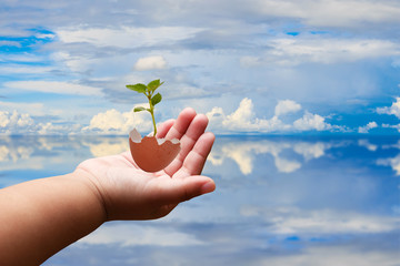 Outstretched cupped hands of young girl with broken egg with strong seedling growing on blue sky of support building a concept.
