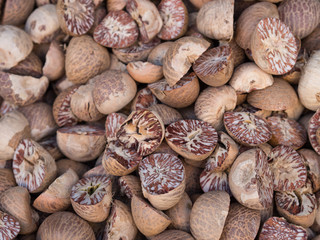 Dried betel, areca nuts - 100931561
