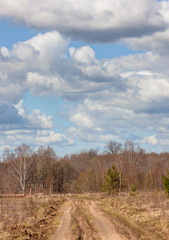Obraz na płótnie Canvas Spring rural landscape