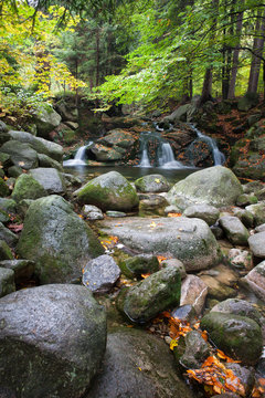 Creek with Small Falls in Mountain Forest