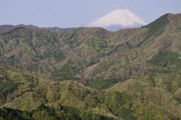 加入道山からの富士山