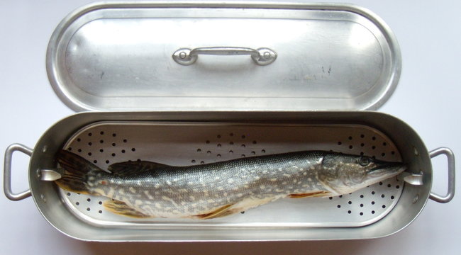 Brochet