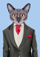 Cat boy dressed up in retro costume. Vector Illustration of cute anthropomorphic cat wearing classic jacket, vest and tie. Realistic Fashion stylish animal portrait isolated on blue background.
