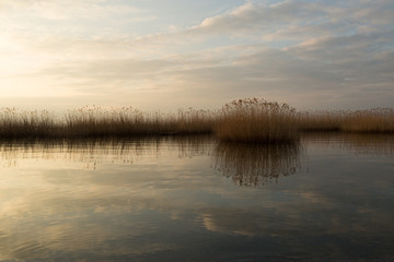 reeds and their reflections on Lake Iznik, Turkey at sunset