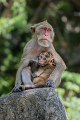 Mother feeding her baby