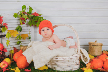 baby in the basket with pumpkins. autumn