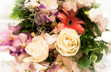  Beautiful Roses as a background