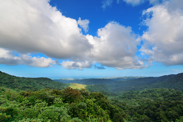 Fototapeta na wymiar Tropical rain forest in San Juan