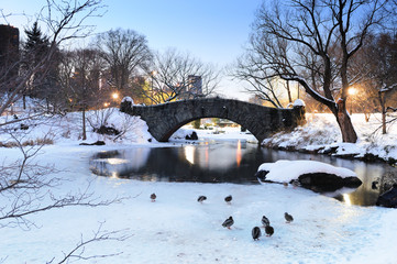 New York City Manhattan Central Park in winter