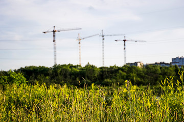 blurred background with construction cranes and wild grass in the foreground