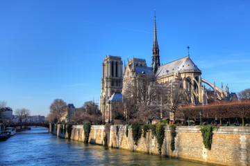Fototapeta na wymiar Notre Dame at sunrise - Paris, France