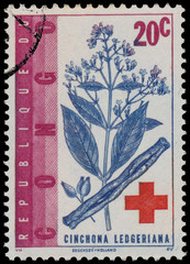 CONGO - CIRCA 1963: a stamp printed in Congo shows Cinchona ledgeriana and red cross
