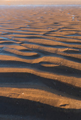 Ripple textures in the sand at sunset on a warm golden beach