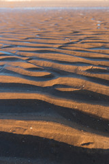 Ripple textures in the sand at sunset on a warm golden beach