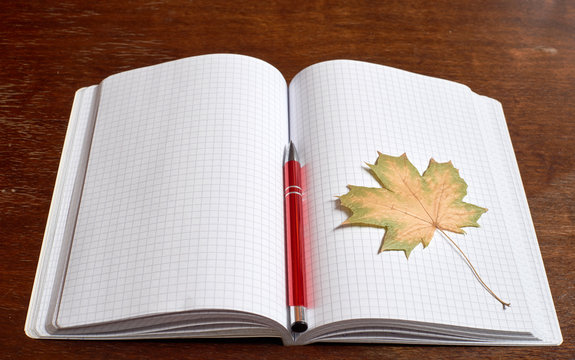 Yellow leaf and pen on the copybook