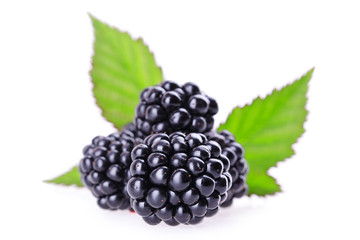 blackberry with leaf