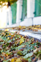 Fallen autumn leaves yellow fence road